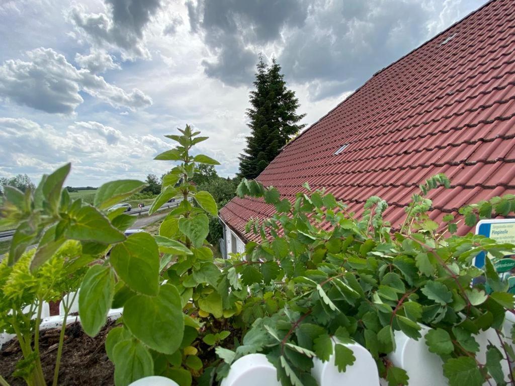 Apartamento Familienhof Müritz Klein Plasten Exterior foto