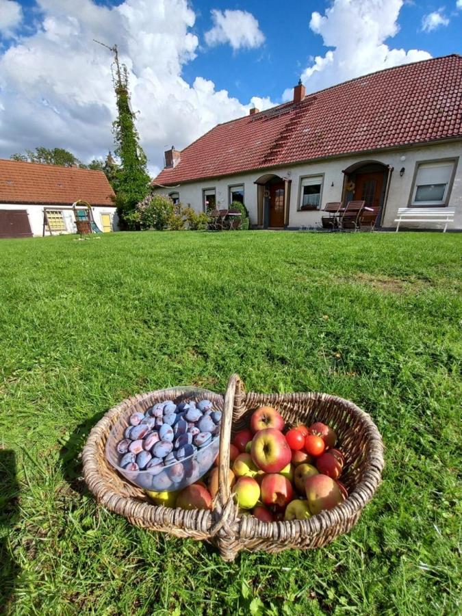 Apartamento Familienhof Müritz Klein Plasten Exterior foto