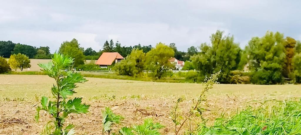 Apartamento Familienhof Müritz Klein Plasten Exterior foto