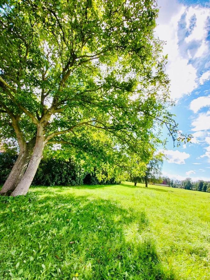 Apartamento Familienhof Müritz Klein Plasten Exterior foto