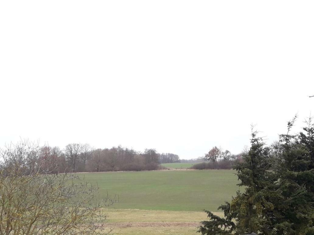 Apartamento Familienhof Müritz Klein Plasten Exterior foto